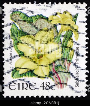 IRLANDE - VERS 2004 : un timbre imprimé en Irlande montre Primrose, Primula vulgaris, Floraison, vers 2004 Banque D'Images