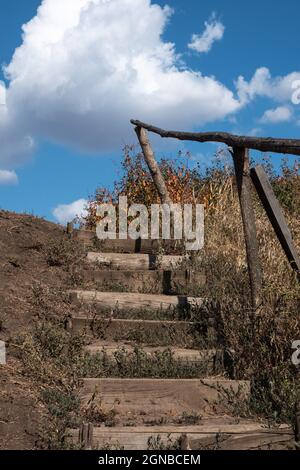 Vieux escaliers étroits en bois menant au milieu de l'herbe dans la campagne ukrainienne en temps de False. Banque D'Images