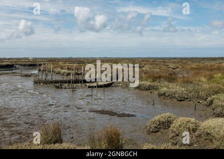 Vieux bateaux anciens laissés dans les marais salants, les marécages de la lagune d'Aveiro, réserve naturelle, Portugal. Banque D'Images