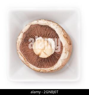 Gros plan d'un chammignon brun dans un bol blanc sur fond blanc Banque D'Images