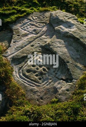 Découvrez l'art rupestre préhistorique sur DoD Law, Northumberland, Angleterre, Royaume-Uni, montrant des cupmarks à l'intérieur des enceintes ou des cadres délimités par des rainures. Banque D'Images