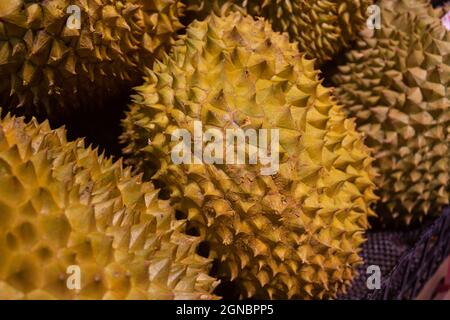 Durian en vente sur les étagères des supermarchés Banque D'Images