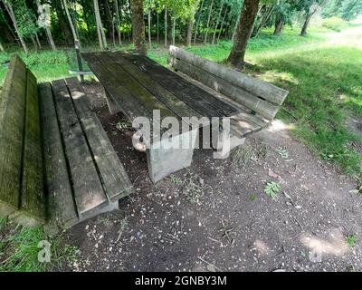 Photo de bancs en bois et d'une table dans le parc près des arbres par une journée ensoleillée Banque D'Images