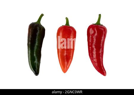 poivrons d'arbre isolés sur fond blanc, longs poivrons verts doux, rouges et oranges, légumes frais, vue du dessus Banque D'Images