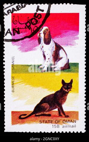 OMAN - VERS 1972 : timbre-poste d'Oman montrant le chat birman et le chien d'Espagne Banque D'Images