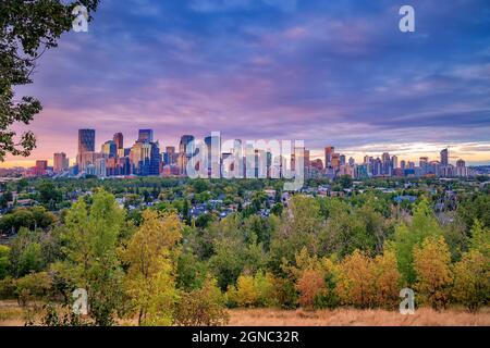 Feuillages d'automne dans le cadre de la ligne d'horizon de Calgary à Sunrise Banque D'Images