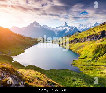 Lever de soleil d'été sur le lac Bachalpsee avec les sommets de Schreckhorn et de Wetterhorn en arrière-plan. Vue aérienne du matin sur les Alpes bernoises suisses, Suisselan Banque D'Images