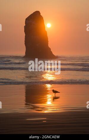 Coucher de soleil derrière le rocher dans les vagues sur la plage. Banque D'Images