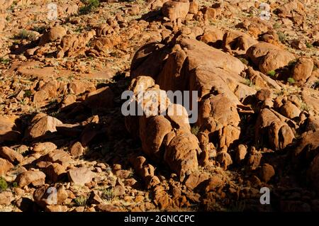 Rochers sur Ranch Koiimasis dans les montagnes de Tiras à l'ouest de Helmeringhausen, région de Karas, Namibie Banque D'Images