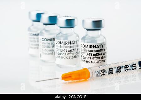 TURIN, ITALIE - 24 SEPTEMBRE 2021 : flacons de Comirnaty pour vaccins Pfizer-BioNTech COVID-19, flacons de vaccins originaux avec seringues en blanc Banque D'Images