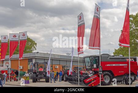 Novi Sad, Serbie - 21 septembre 2021 : nouvelle moissonneuse-batteuse Massey Ferguson au salon agricole Expo. Banque D'Images