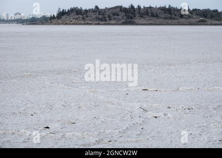 Lac salé, Alyki, Larnaca, Chypre, Europe Banque D'Images