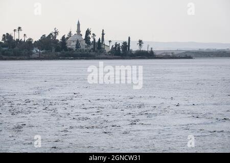 Lac salé, Alyki, Larnaca, Chypre, Europe Banque D'Images