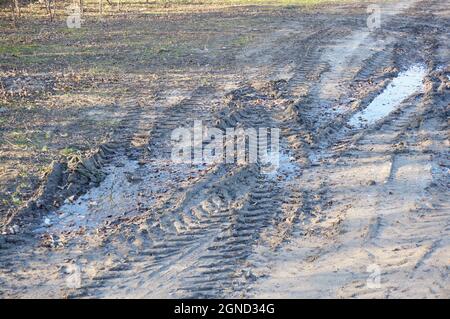 Traces de pneus de voiture sur une route boueuse Banque D'Images