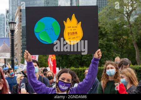 Manifestation végétalienne au Toronto Ribfest, Canada, le 27 mai 2017 Banque D'Images