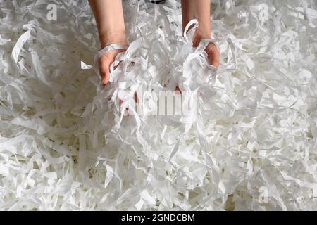Recyclage, déchets, déchets et écologie. Tas de papier déchiqueté dans les mains, vue de dessus de beaucoup de bandes blanches. Pile de papier coupé comme confetti pour la fête ou b Banque D'Images