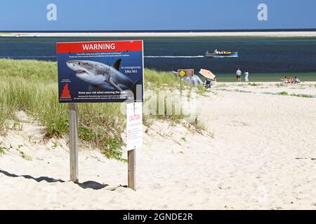 Un panneau d'avertissement Great White Shark sur la plage à Chatham, Cape Cod, Massachusetts, États-Unis Banque D'Images