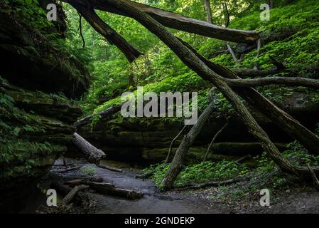 Turkey Run State Park - Marshall - Indiana Banque D'Images