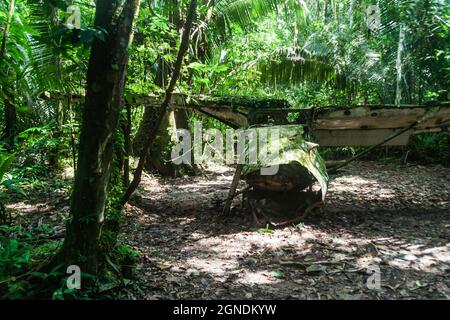Épave d'avion dans le sanctuaire de la vie sauvage du bassin de Cockscomb, Belize. Cet avion s'est écrasé avec le Dr Alan Rabinowitz, biologiste étudiant jaguars. Banque D'Images