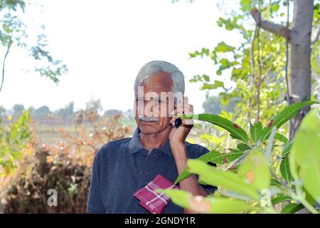 Gros plan d'un agriculteur ou d'un jardinier indien âgé qui se trouve dans un jardin ou un champ, parlant à un coopérateur agricole ou à un spécialiste sur un clavier mobile Banque D'Images