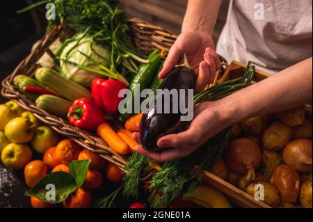 Légumes biologiques. Les agriculteurs se font les mains de pommes fraîchement cueillies. Pommes fraîches biologiques. Marché des fruits et légumes Banque D'Images