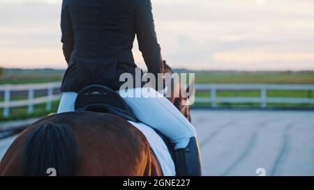 l'accent est mis sur la jeune femme assise debout sur le cheval, avec la vue de derrière. Photo de haute qualité Banque D'Images