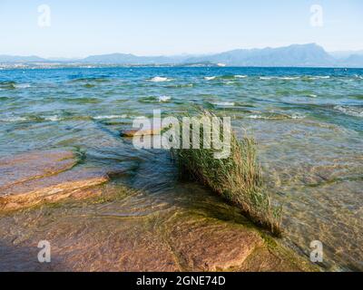 Lac de Garde ou Lago di Garda Paysage d'été à Jamaica Beach à Sirimione, Lombardie, Italie le matin Banque D'Images