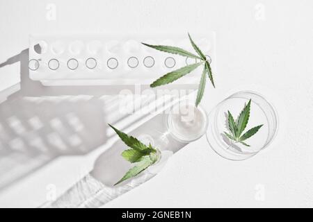 crème faciale de cannabis et feuilles de chanvre en laboratoire. plats de pétri et verrerie sur table de laboratoire. concept de dermatologie, traitement alternatif. vue du dessus Banque D'Images