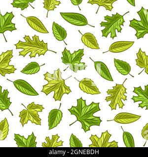 Motif à feuilles vectorielles sans couture, fond carré répété pour l'intérieur saisonnier, affiche avec jeu d'illustrations découpées de différentes chutes de vert Illustration de Vecteur