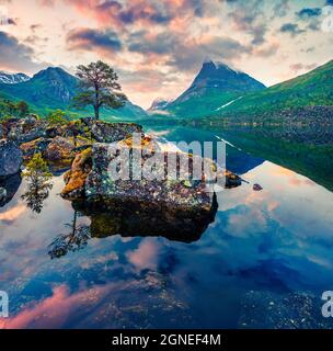 Impressionnant lever de soleil d'été sur le lac Innerdalsvatna. Scène matinale colorée en Norvège, Europe. Beauté de la nature concept fond. Style artistique po Banque D'Images