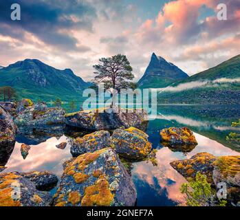 Impressionnant lever de soleil d'été sur le lac Innerdalsvatna. Scène matinale colorée en Norvège, Europe. Beauté de la nature concept fond. Style artistique po Banque D'Images