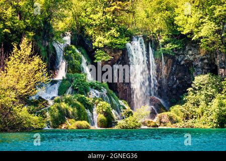Belle scène matinale du parc national de Plitvice. Vue de source colorée sur la forêt verte avec lac d'eau pure et chute d'eau. Superbe vue sur la campagne Banque D'Images