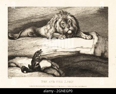 Un renard qui s'approche bêtement d'un lion masculin dans son coin. Fox et le lion. Illustration d'une fable par l'auteur grec Aesop. Gravure en coperplate tirée et gravée de la vie par Samuel Howitt de son propre ouvrage A New Work of Animals, principalement conçu à partir des Fables d'Aesop, gay et Phaedrus, Edward Orme, Londres, 1811. Banque D'Images