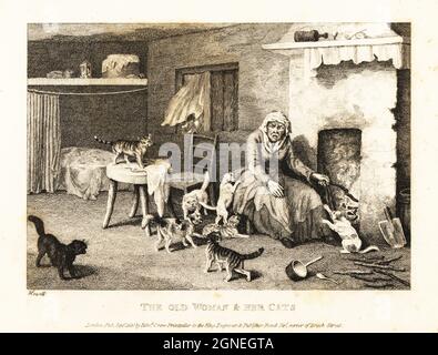 Vieux hag assis au foyer dans une hovelle entourée de chats et pris pour une sorcière. La vieille femme et ses chats. Illustration d'une fable par le poète anglais John gay. Gravure en coperplate tirée et gravée de la vie par Samuel Howitt de son propre ouvrage A New Work of Animals, principalement conçu à partir des Fables d'Aesop, gay et Phaedrus, Edward Orme, Londres, 1811. Banque D'Images