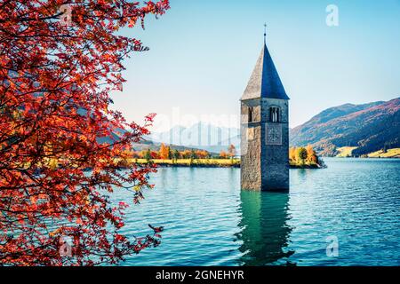 Fantastique vue d'automne sur la Tour de l'église en contrebas dans le lac Resia. Une étonnante scène matinale des Alpes italiennes, du Tyrol du Sud, de l'Italie, de l'Europe. Concept de voyage ba Banque D'Images