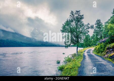 Vue d'été sombre sur le lac Innerdalsvatna. Une scène matinale brumeuse en Norvège, en Europe. Beauté de la nature concept fond. Post-traitement de style artistique Banque D'Images