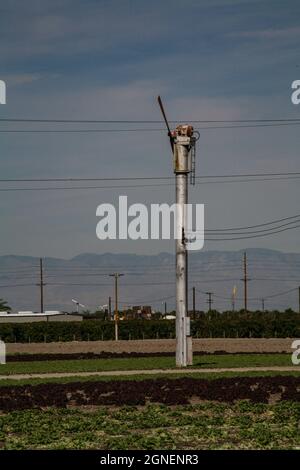 Agriculture irriguée intensive dans les vallées impériales et Coachella, dans le sud de la Californie. Banque D'Images