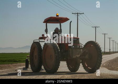 Agriculture irriguée intensive dans les vallées impériales et Coachella, dans le sud de la Californie. Banque D'Images