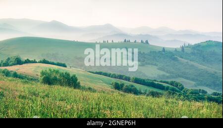 Panorama estival brumeux des montagnes carpathes. Magnifique vue du matin sur la vallée de la montagne dans la première lumière du soleil rayonnante herbe fraîche, Ukrane, Europe. Po Banque D'Images