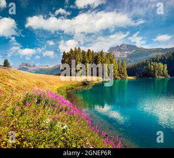 Scène estivale colorée du lac Champferersee. Une vue fascinante sur le village de Silvaplana le matin dans la brume matinale. Grand paysage ensoleillé des Alpes suisses, SWI Banque D'Images