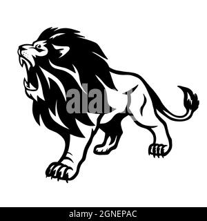 Un lion avec une bouche cisaillée. Le roi de la jungle. Un parent du tigre, panthère, léopard, couguar, guépard et chat domestique Banque D'Images