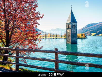 Belle vue d'automne de la Tour de l'église en contrebas dans le lac Resia. Une étonnante scène matinale des Alpes italiennes, du Tyrol du Sud, de l'Italie, de l'Europe. Concept de voyage b Banque D'Images