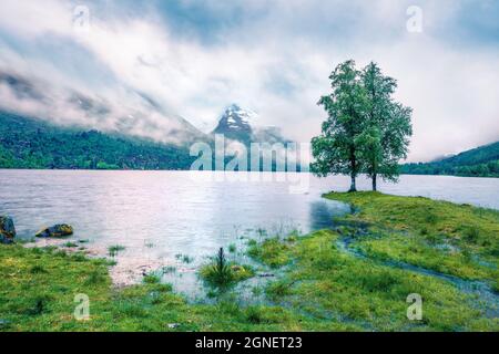 Vue d'été captivante sur le lac Innerdalsvatna. Une scène matinale brumeuse en Norvège, en Europe. Beauté de la nature concept fond. Mode de filtre Instagram Banque D'Images