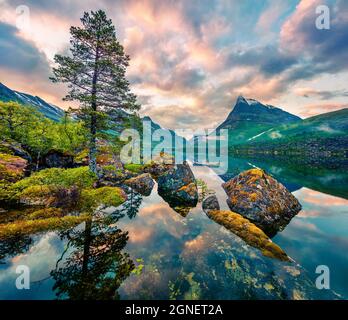 Magnifique lever de soleil d'été sur le lac Innerdalsvatna. Scène matinale colorée de Norvège, Europe. Beauté de la nature concept fond. Banque D'Images