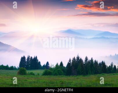 Magnifique lever de soleil d'été dans les montagnes Carpates. Misty Morning scène de la vallée de montagne verte, Transcarpathian, Ukraine, Europe. Beauté de la nature con Banque D'Images