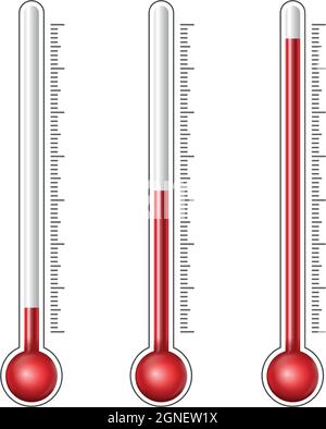 Des niveaux différents thermomètres Illustration de Vecteur