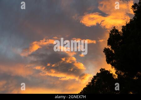 Nuages orange et pin au coucher du soleil sur la côte méditerranéenne en Espagne arrière-plan abstrait Banque D'Images