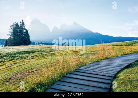 Magnifique scène matinale du village de Compaccio avec pic de Sassolungo en arrière-plan, emplacement de Seiser Alm ou Alpe di Siusi, province de Bolzano, Alpes Dolomiti, Banque D'Images