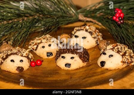 Biscuits au chocolat pécan hérisson Banque D'Images