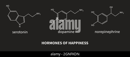 Hormones du bonheur - sérotonine, dopamine, norépinéphrine. Formule de neurotransmetteur. Cerveau et psychiatrie. Illustration vectorielle Illustration de Vecteur